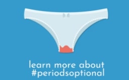 PeriodsOptional